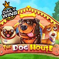 the Dog House